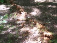 100_1594.jpg